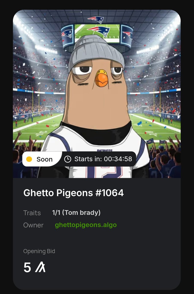 Ghettopigeons's tweet image. The GOAT @TomBrady pigeon will soon be up for auction!🏈

You can bid using $ALGO or $PUFF!💨

market.ghettopigeon.com/auctions