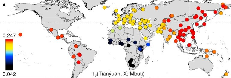 Tatsuya Yamashita on X: 