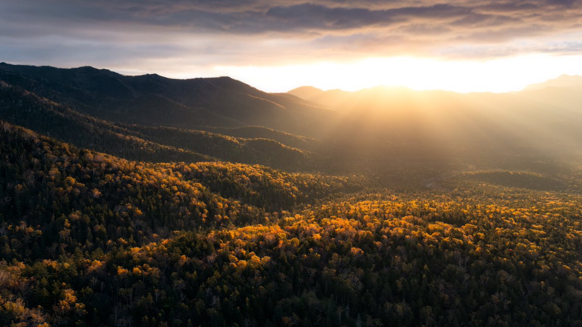 秋。
始めました。
