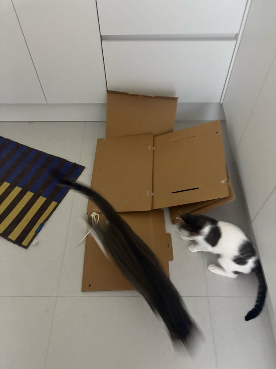 ㅠㅠㅠ 새 숨숨집인데ㅔㅇ!!!!