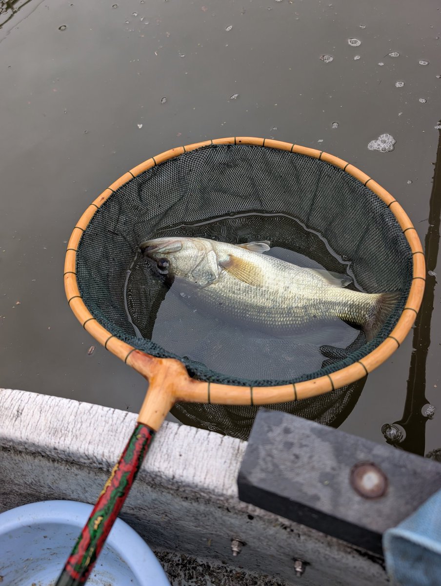 へら鮒釣具冨田 on X