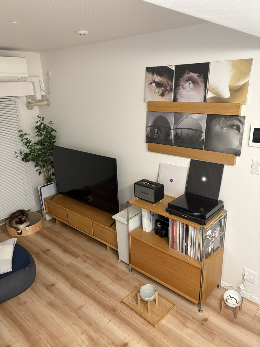Saigo__O's tweet photo. カネコアヤノの溢れる部屋で、猫と過ごす日々。 https://t.co/VJPL2RtwMD