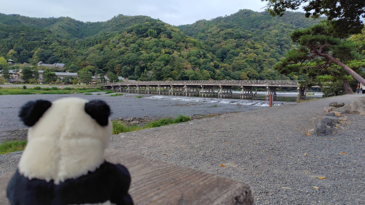 pandasa98974641's tweet image. 🌿🐼お風呂に入ってきました🐼🌿
リフレッシュ完了🐼🎵(≧▽≦)