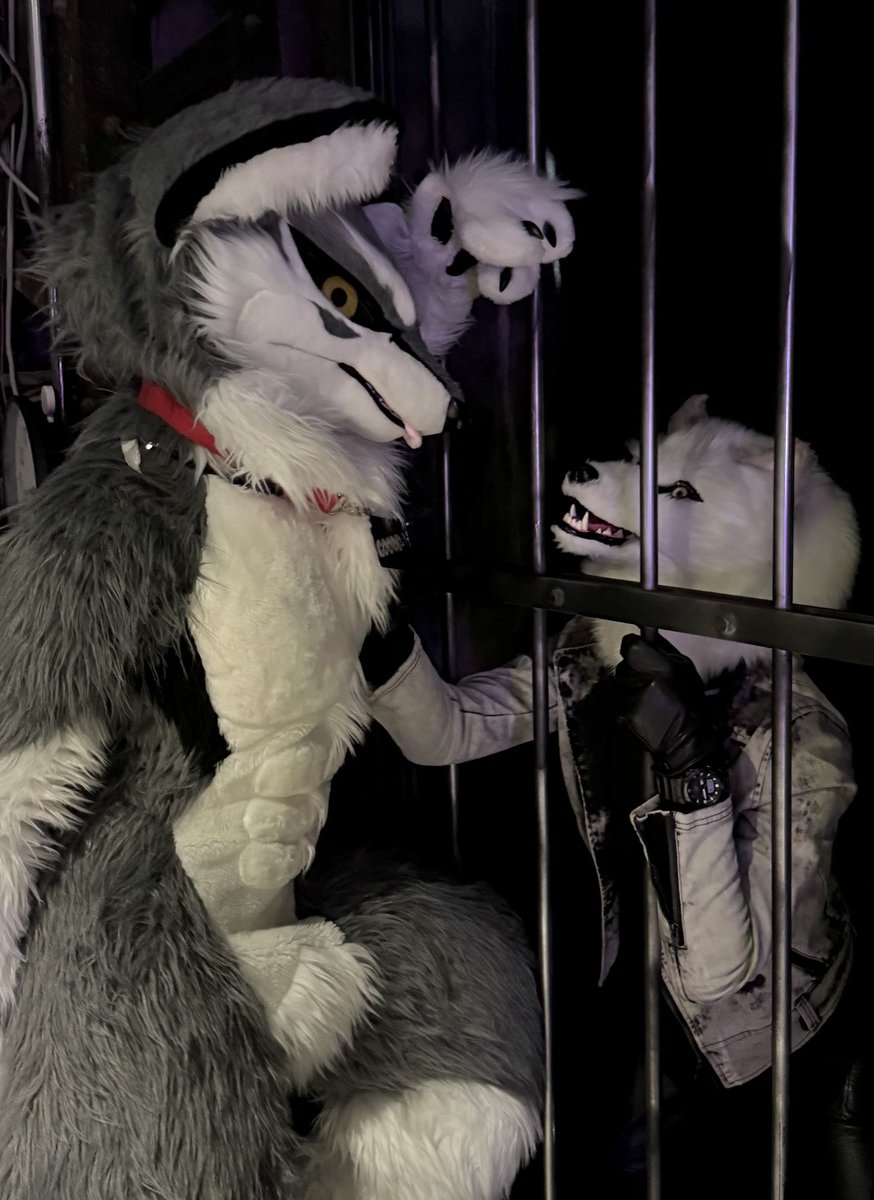 火曜日の火はカワイソウのカ
獣化薬投与からの檻にぶち込まれて半獣化が進んでしまって助けを求める青年の図かわいいねぇ