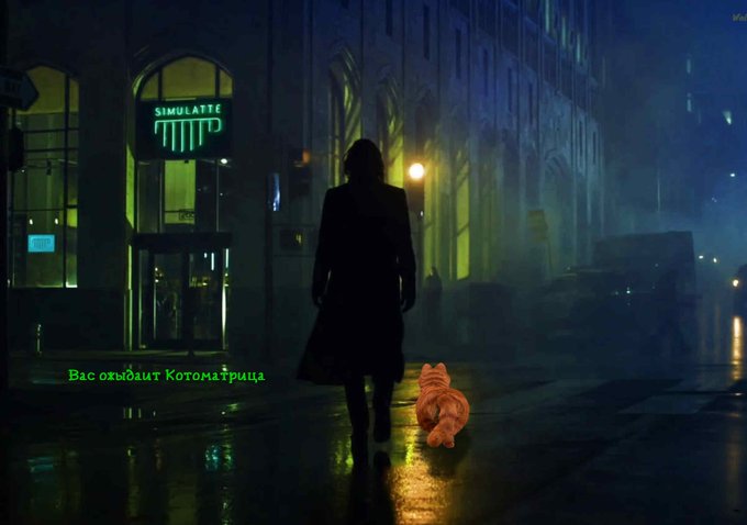 Блог Кота Моти.: 21. 10 . 2025 . catmotya.blogspot.com/2025/10/21-10-…