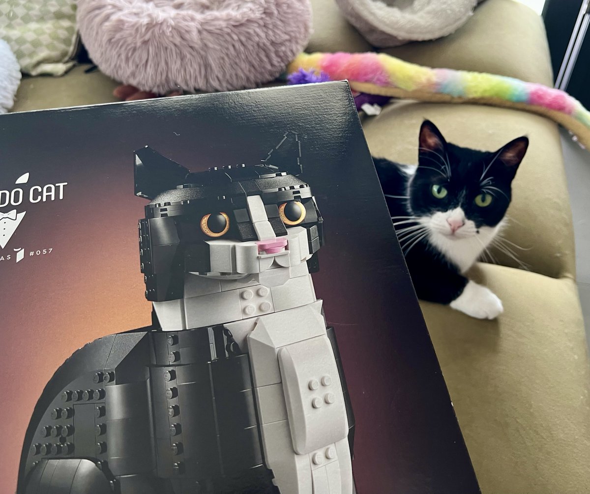 Кукуруза как у томакруза 🌽 tweet media