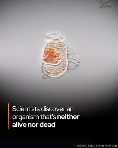 It's called a software engineer