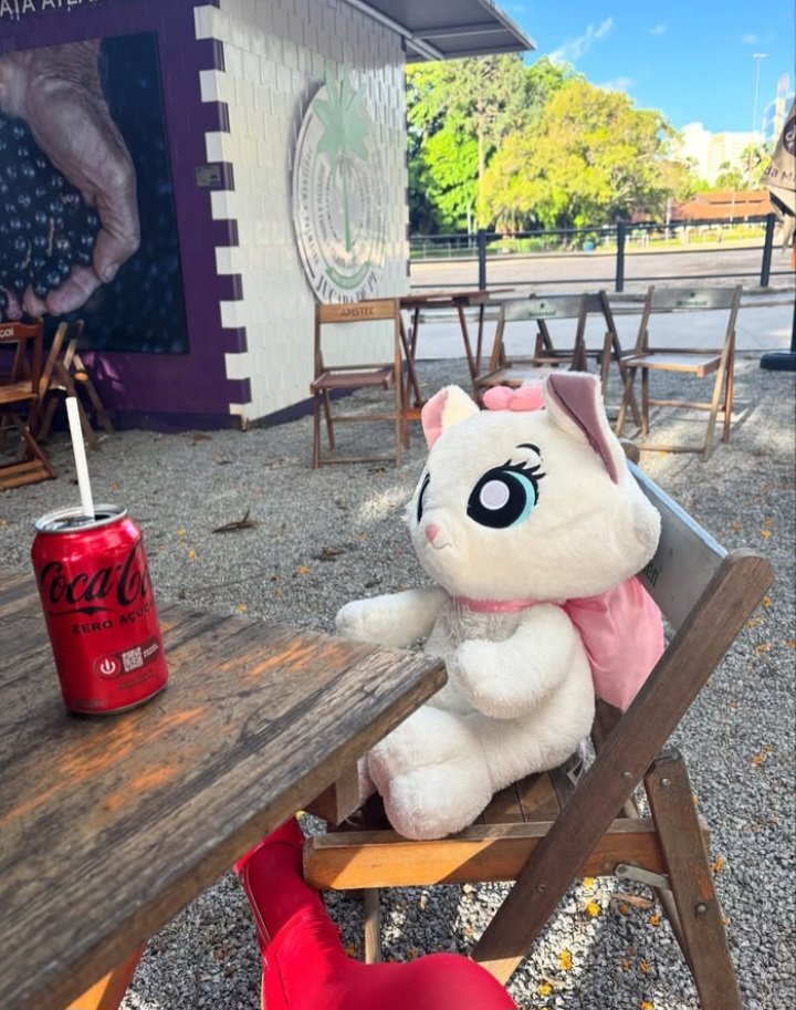 acervolaratausk's tweet image. nossa prin se divertindo no parque com sua marie gigante e tomando uma coquinha zero