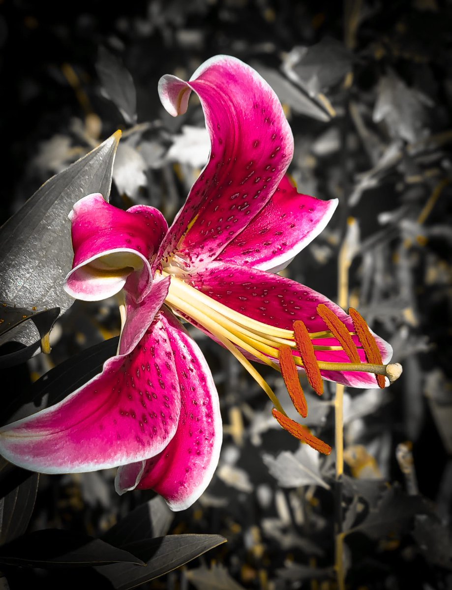 Artplode tweet media