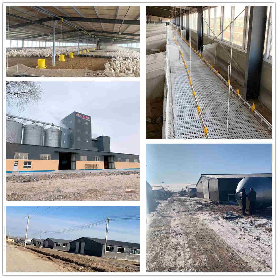 puhuivietnam5's tweet image. 🏗️ Need reliable farm structures? Puhui&apos;s steel sheds offer custom sizes, great ventilation &amp;amp; weather resistance! Perfect for livestock &amp;amp; storage.

🔗 See designs: sdpuhui.com
📩 DM for quotes: elsa@sdpuhui.cn
#puhuiconstruction #farmbuildings #aginfrastructure