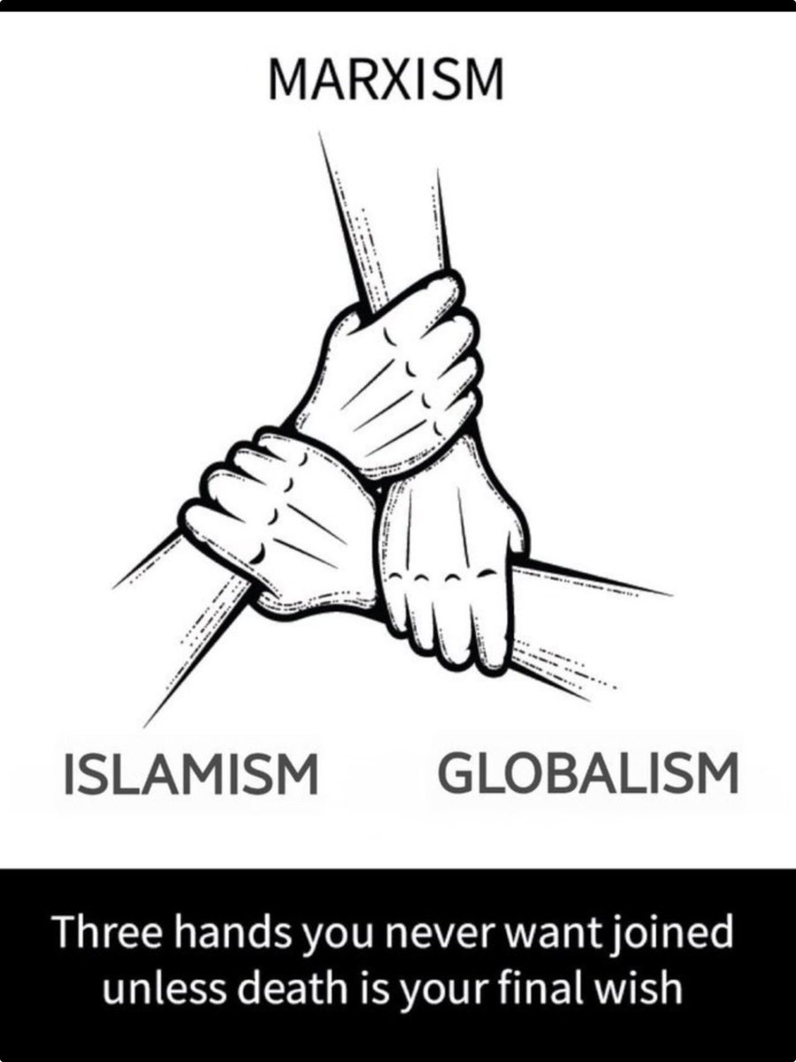 The red-green-blue axis that is behind the purple color revolution in the U.S..