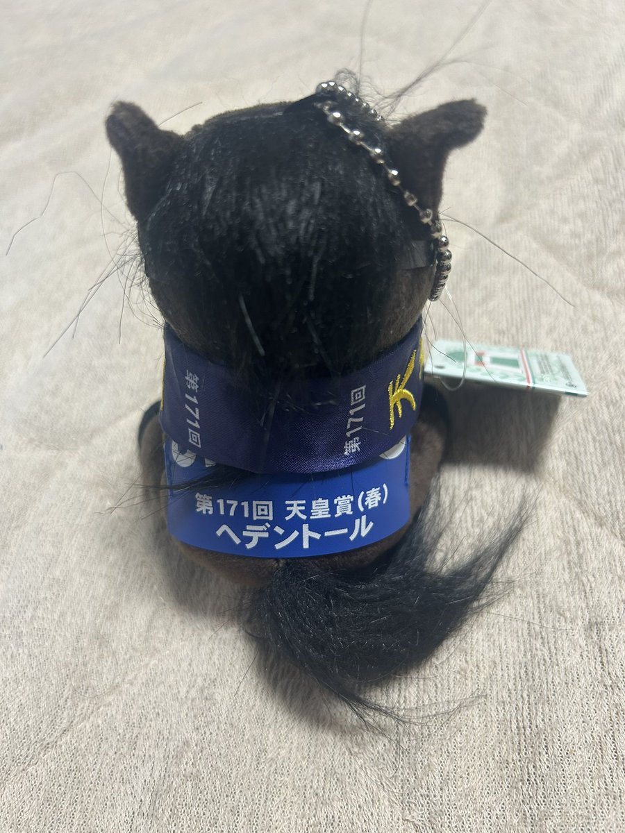 アイドルホース