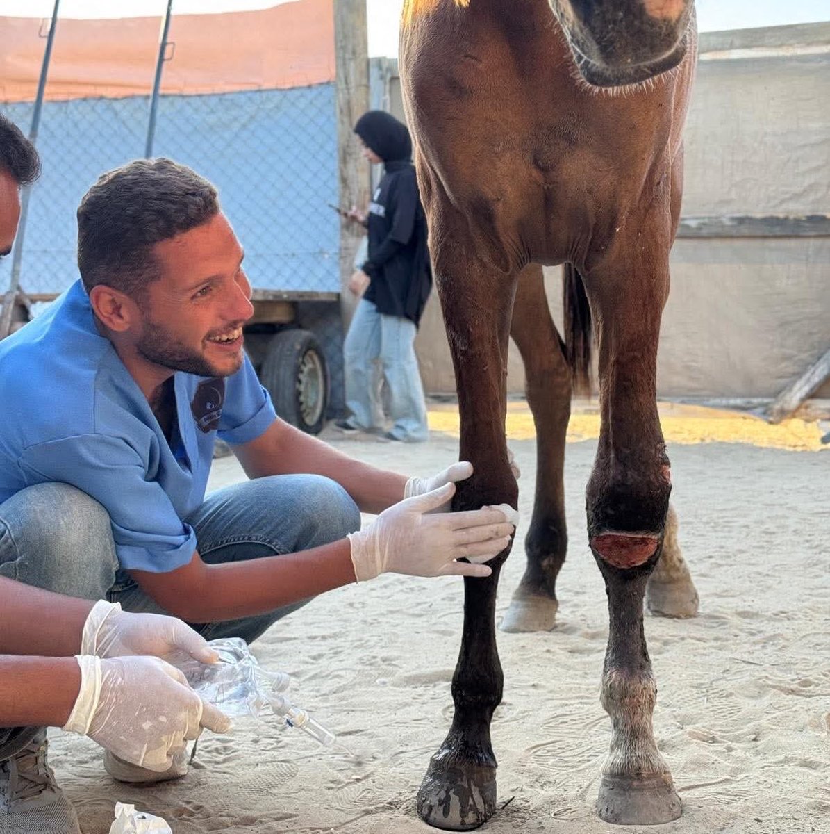 Der palästinensische Tierarzt Dr. Abu Rukba überlebte zwei Jahre Genozid und rettete verletzte Tiere – nur um mitten in der „Waffenruhe“ bei einem israelischen Luftangriff brutal ermordet zu werden, während er zu den Trümmern seines Hauses in Jabalia zurückkehrte.