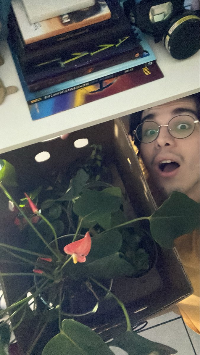 ontem, saindo de vovó, elas chegaram e dormiram empacotadas