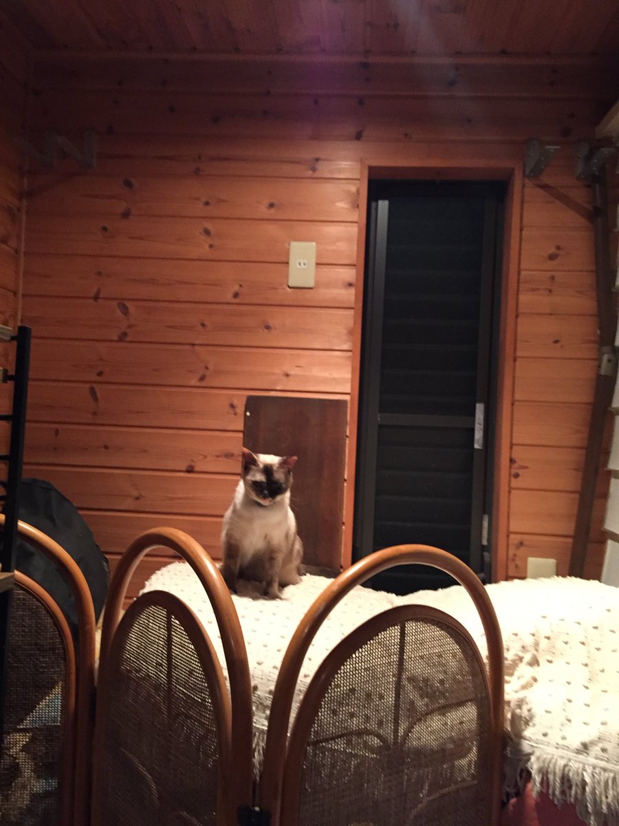 eqnard's tweet image. 