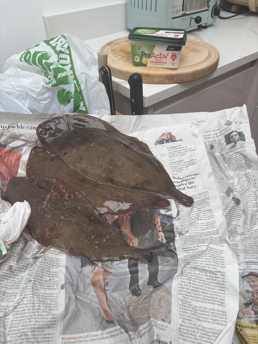 Top fish is a 160z  Dover sole . Still falling around until i gave £8  for it