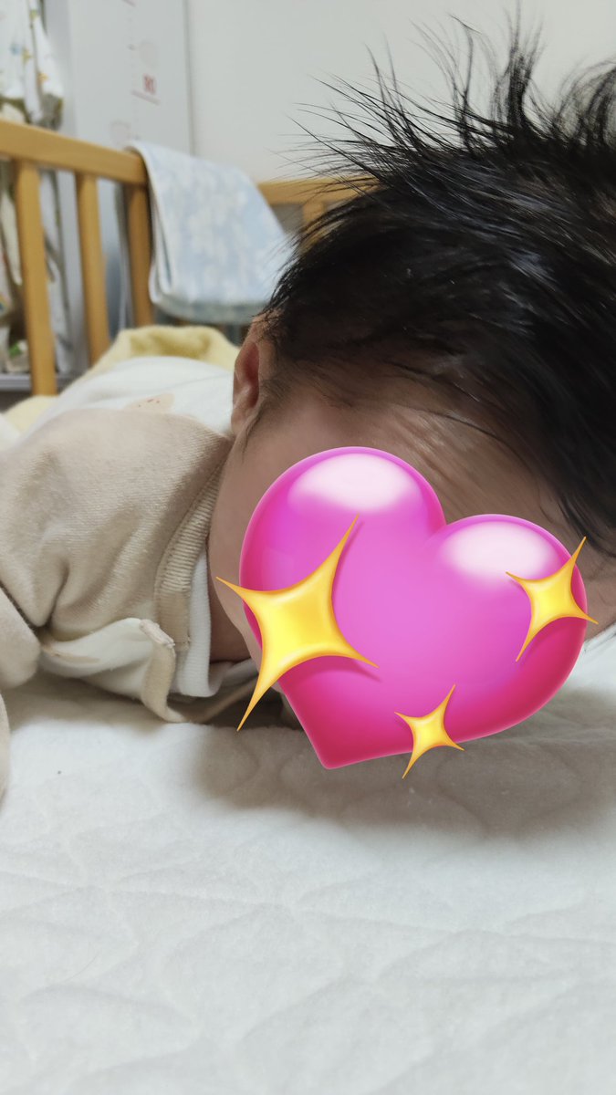 本日のぽこ太。

タミータイムでうつ伏せ練習。
意外とうまいかも。