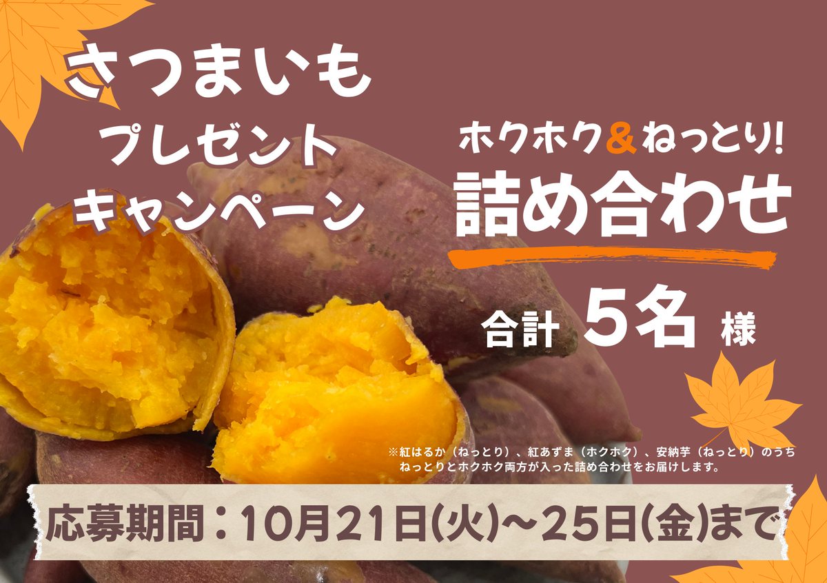 美園ファーマーズ倶楽部(MFC) (@mfc_randa) on Twitter photo さつまいもの【ホクホク派vsねっとり派】論争に終止符を🙏
・・・どっちも食べたらいいんです!!!
というわけで採れたての【ホクホク&ねっとり】さつまいもセットを5名様にプレゼントします🎁🍠✨
✅応募方法
<a href="/MFC_RandA/">美園ファーマーズ倶楽部(MFC)</a> をフォロー
この投稿をいいね&リポスト
🆙当選確率UP♪ さつまいもの【ホクホク派vsねっとり派】論争に終止符を🙏
・・・どっちも食べたらいいんです!!!
というわけで採れたての【ホクホク&ねっとり】さつまいもセットを5名様にプレゼントします🎁🍠✨
✅応募方法
<a href="/MFC_RandA/">美園ファーマーズ倶楽部(MFC)</a> をフォロー
この投稿をいいね&リポスト
🆙当選確率UP♪