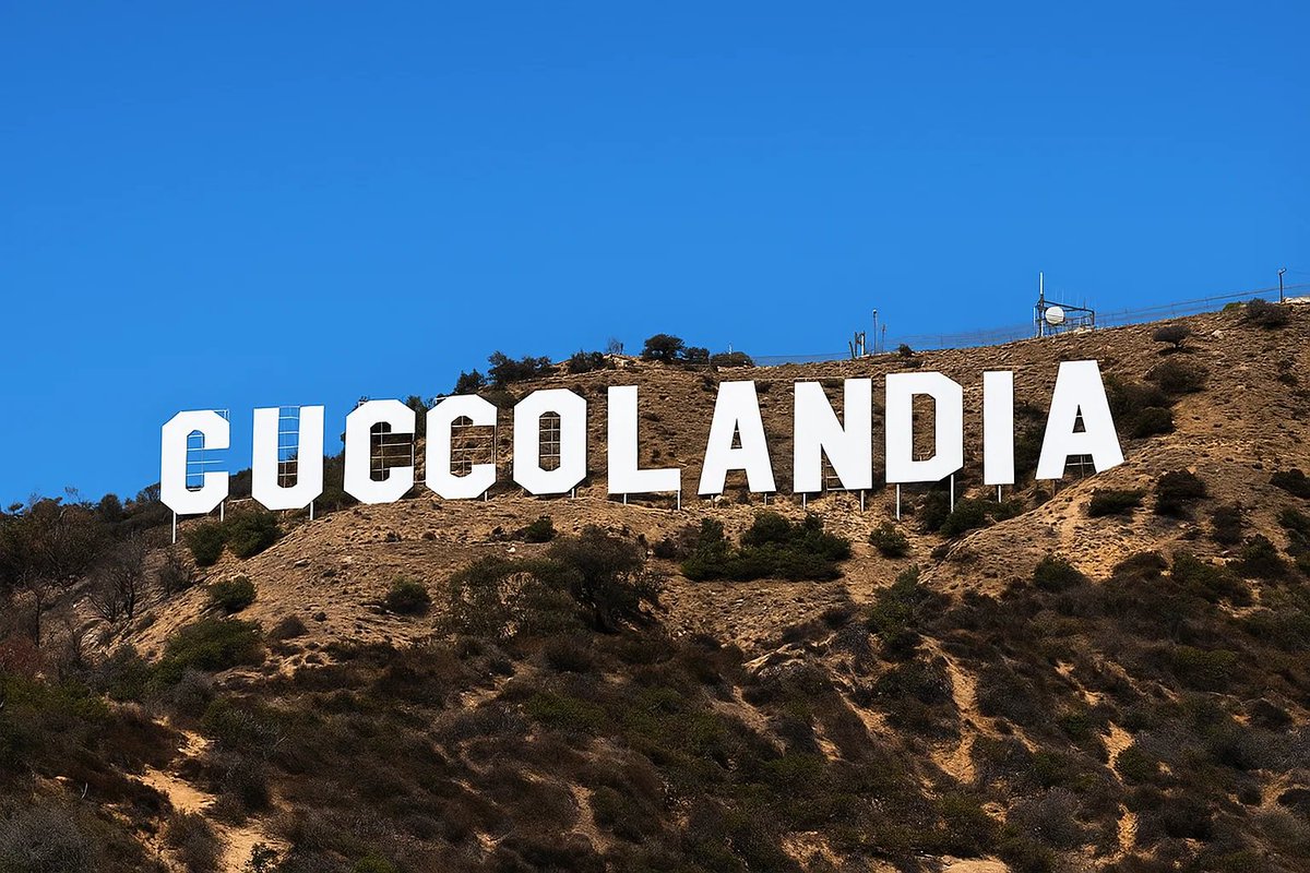 Padanian Belligerante 🟩🧱🗿🦊📐🇻🇦 (@padanians) on Twitter photo 