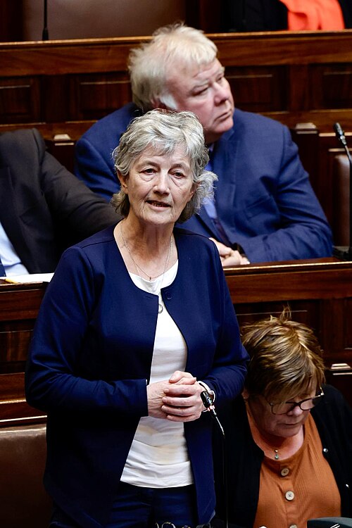 JoeSeward1's tweet image. When you go for a job interview your primary goal is to extol your virtues &amp;amp; advertise your claims for the position.

Catherine Connolly has done this really well during her campaign.

Heather Humphreys has focused purely on criticism of 
her opponent 

#Aras25 
#rtept