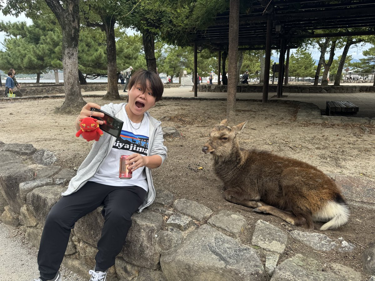 _m3_hime's tweet image. 案内してくれてありがとう🐷