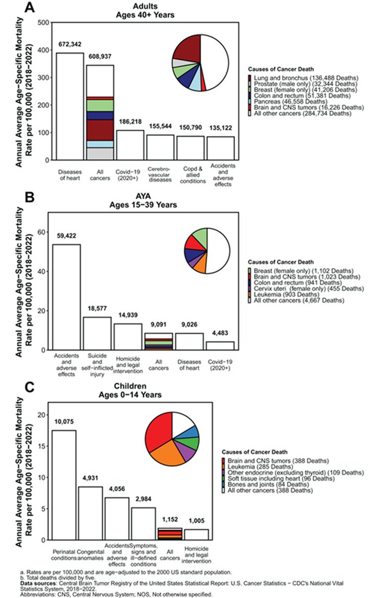 Central Brain Tumor Registry of the United States tweet media