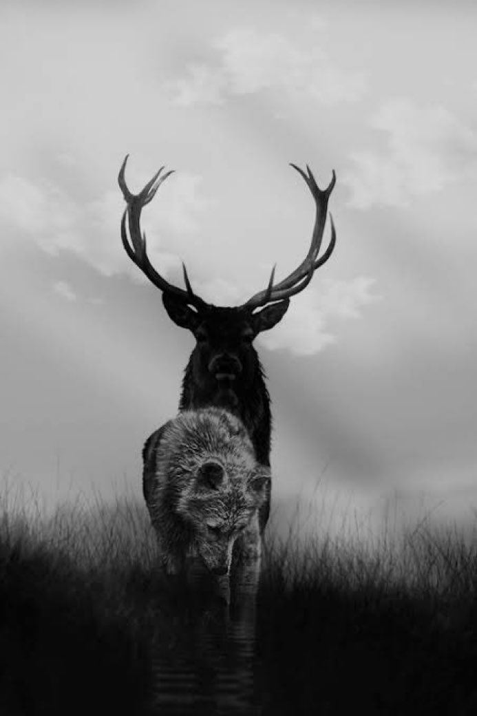 reXchillect's tweet photo. https://t.co/qZcyj2PfUo