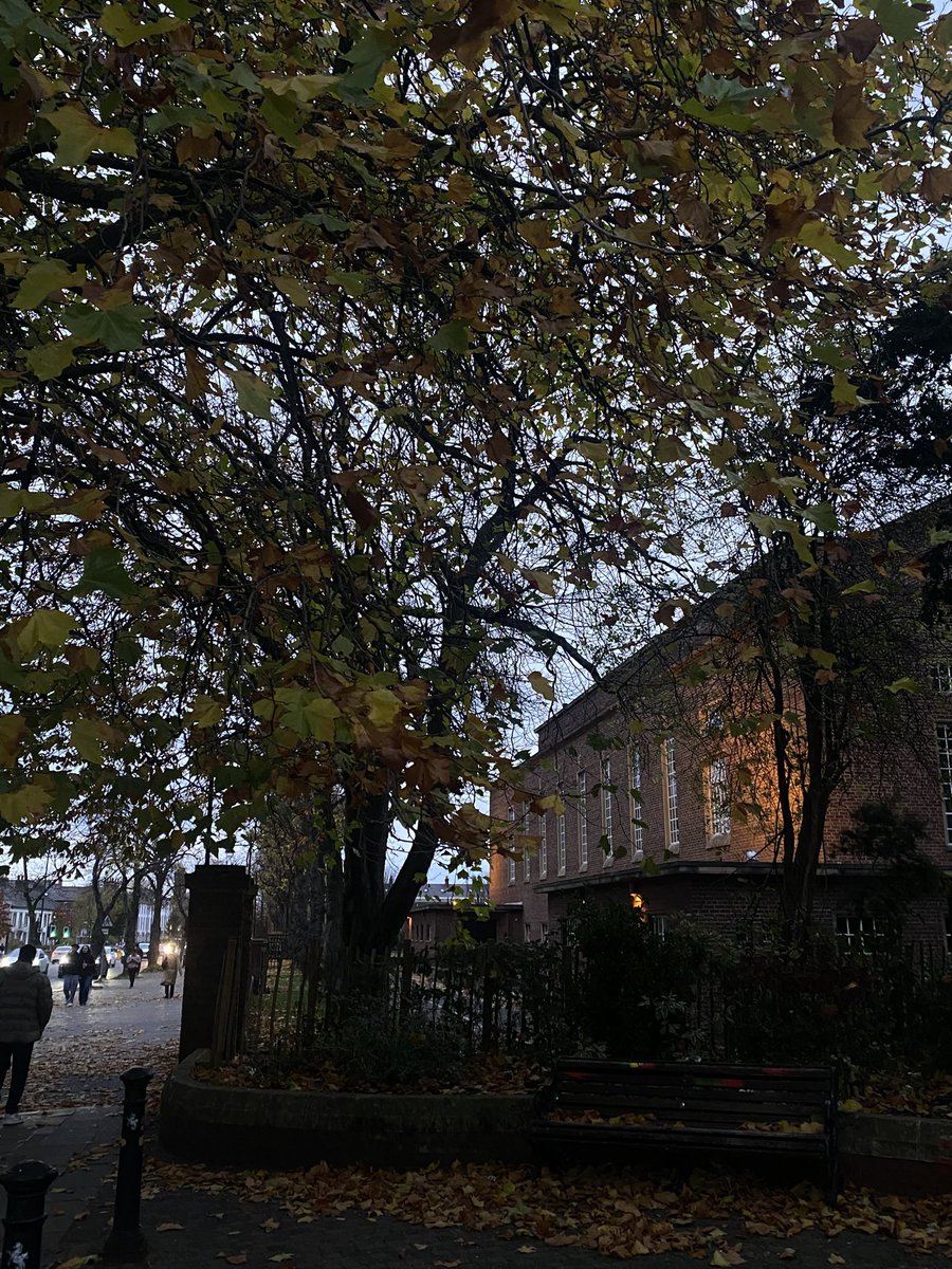 Inez Murray tweet media