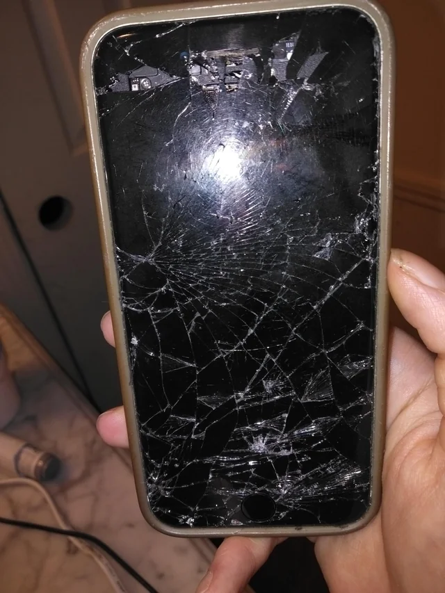 ray 🐂 tweet media