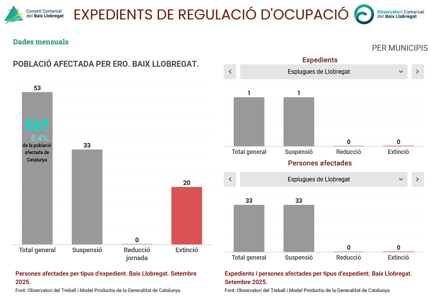 53 persones afectades per un ERO al #BaixLlobregat, el 38% d’extinció del contracte laboral elbaixllobregat.cat/observatori/ec…