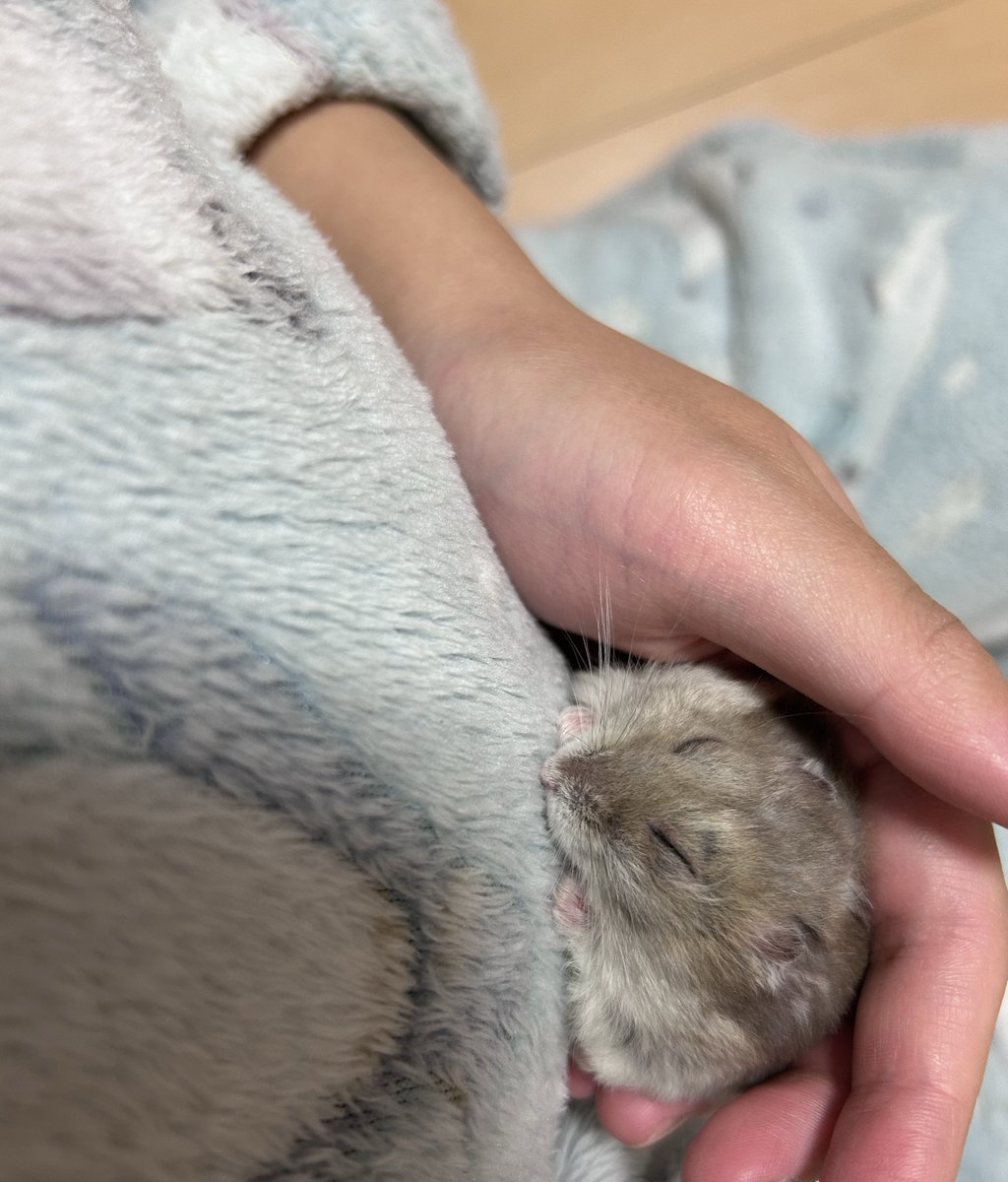 ちいこ