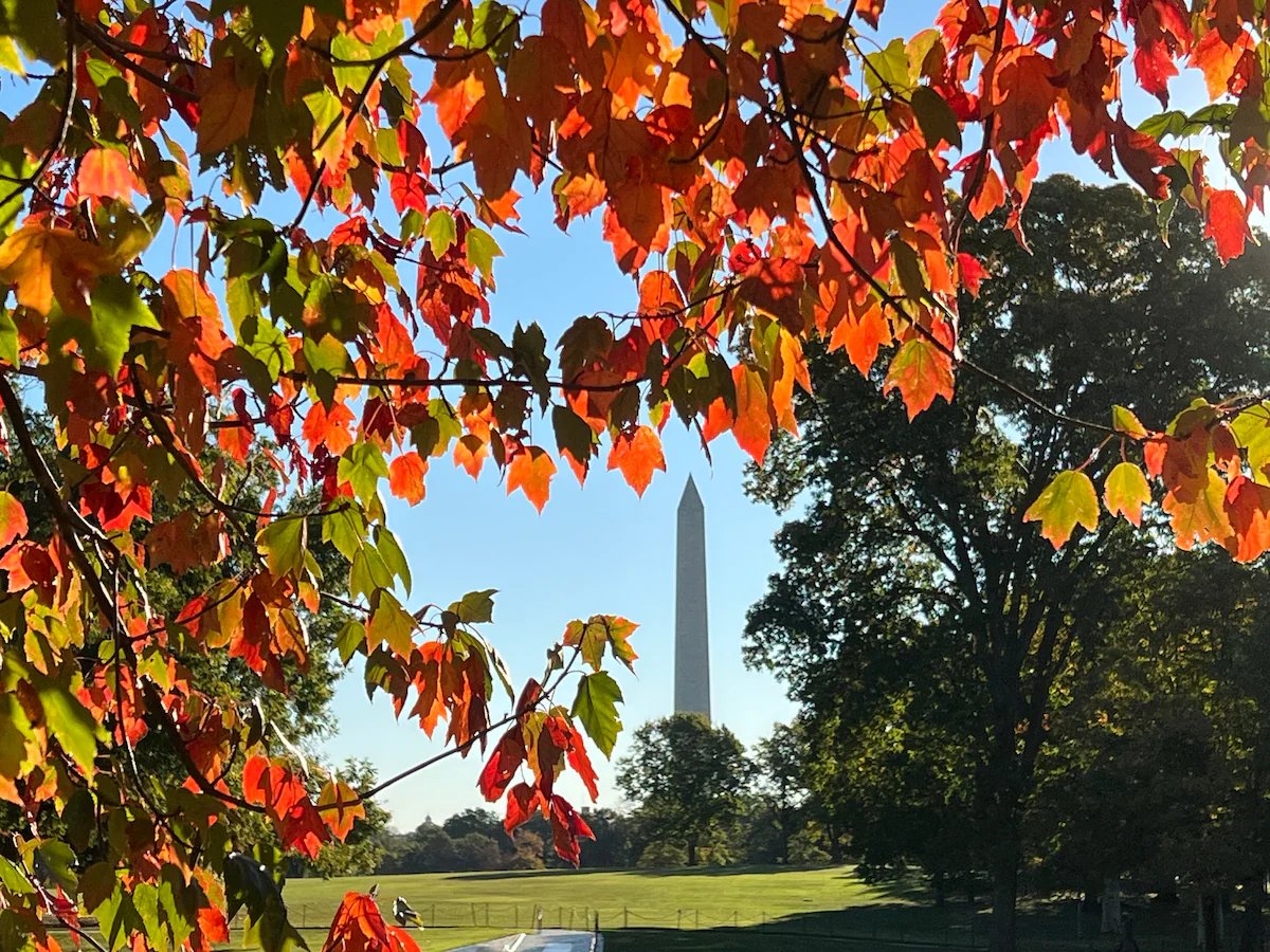 capitalweather's tweet image. 🌤️ Mild and breezy today with gusts up to 25 mph. 🌧️ A few showers tonight, then 🌞 cool, crisp sunshine returns midweek.
Full forecast ➡️ cwg.live
Photo by @RiverGirl707
