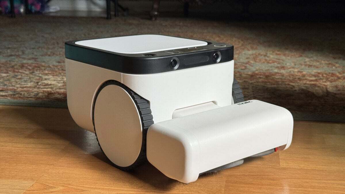 todaynews_all's tweet image. Matic Robot Vacuum Charms and Sucks (in bir Good Way)
Teknoloji dünyasında heyecan verici gelişmeler yaşanmaya devam ediyor. Son olarak tanıtılan Matic robot süpürge, kullanıcıların beğenisini toplamayı baş... Robotsüpürge Matic teknoloji
haberler.site/news.php?id=32… 
#Robotsüpürge …