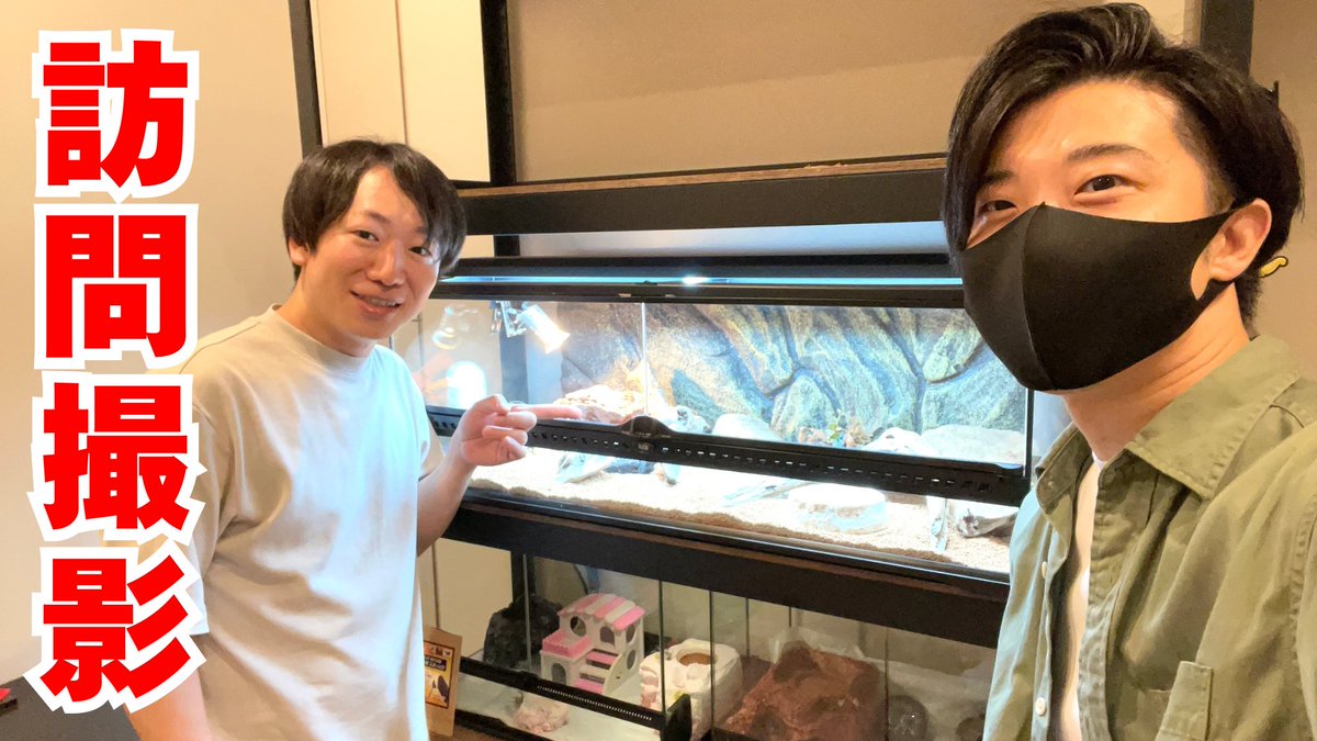 しゅりこページ しゅりマン🌸 (@STL6666666) / Posts / X