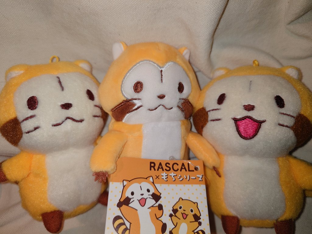 ラスカル発見😽︎💞
7月に東京駅のラスカルキャラバンで販売されてたラスカル×もちシリーズですみゃね✨
前回お迎え断念したminiラスカルお迎えしました"(ﾉ*&gt;∀&lt;)ﾉ💕
#ラス活