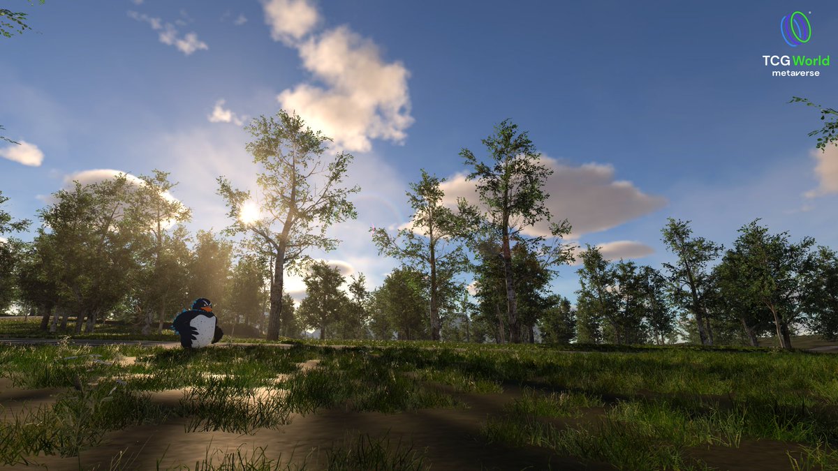 Sprites don’t like to sit still. You’ll find them wandering through every region of TCG World! 

Keep your eyes open — they pop up when you least expect it! 👀