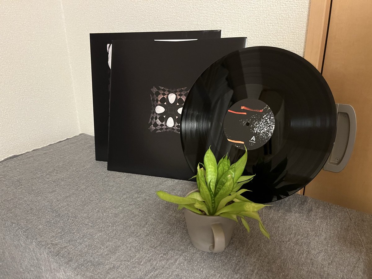 届いた！人生初のレコード。