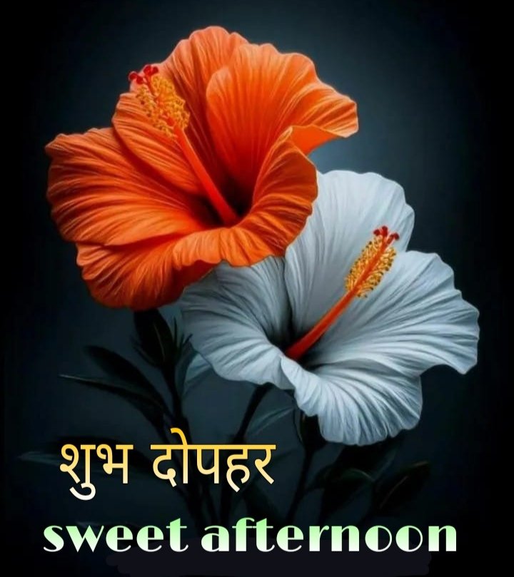 शुभ दोपहर
#शुभ_दोपहर