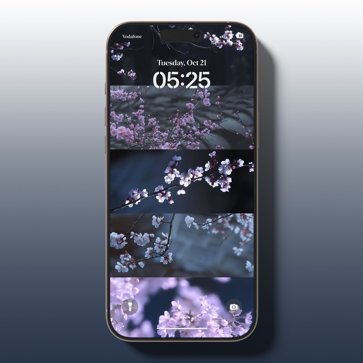 NoCaptionMood's tweet photo. Blossom 🌸 https://t.co/pPjHp0HBW3
