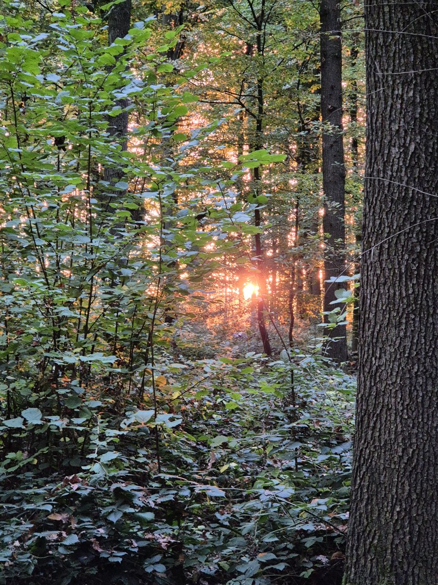 Good morning from Germany
Hang in there foljs
Almost Friday Again