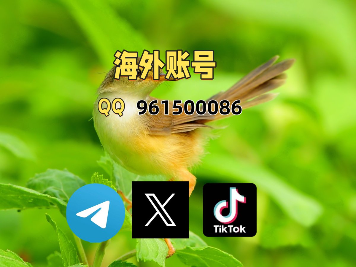 veras_dudu74727's tweet image. 电报账号 纸飞机账号 tg账号
飞机 电报怎么注册？
电报收不到验证码 苹果ios怎么下载电报