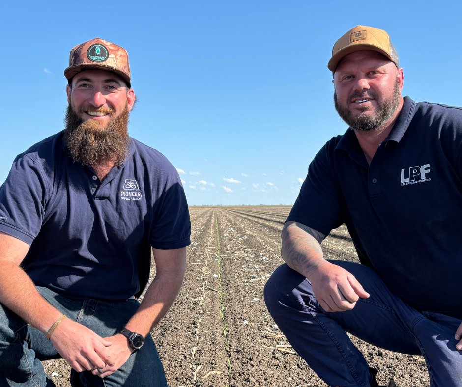 Pioneer® Farm Services Consultant, Will Coldham with Lee Parish in a recently emerged crop of Pioneer® grain sorghum hybrid A88 on dryland country west of Wee Waa, NSW. Despite cooler-than-optimal conditions, the crop is showing excellent emergence and early growth.