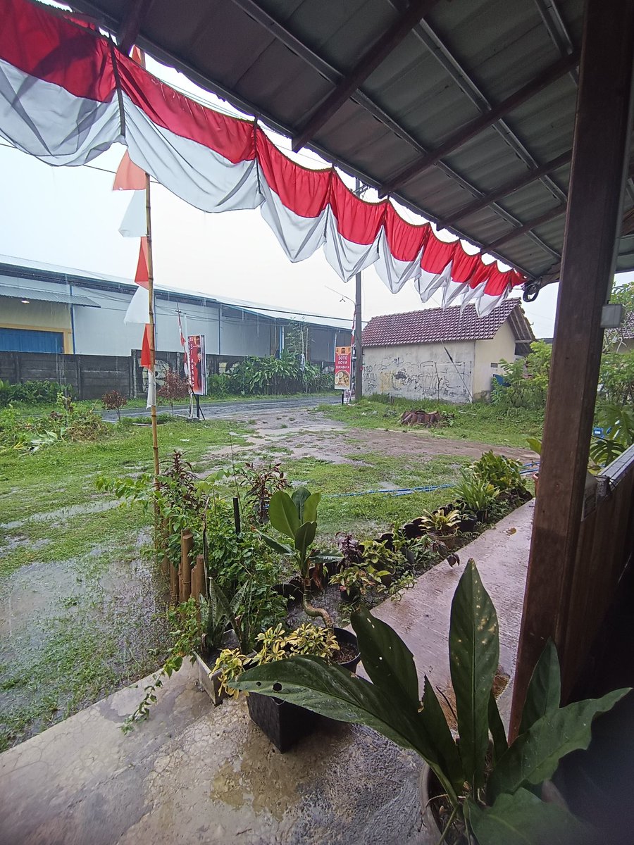 So sad, liat perkiraan cuaca seminggu ke depan bakal basah terus. Allahuma sayyiban nafi'an. Hrs rubah strategi soal dine in, mungkin ke pesan antar. Bismillah. 
Alhamdulillah hangat di joglo, seneng liat tanaman2 pd subur. Alhamdulillah ala kulli hal. Wifi an no limit? Come!