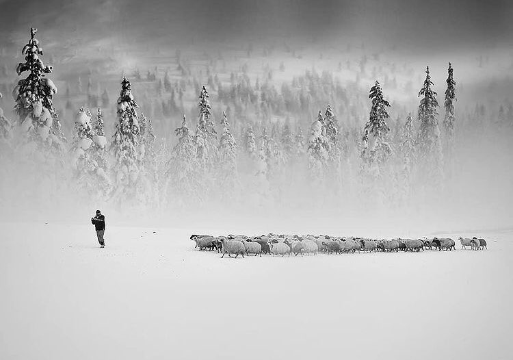 Sarıkamış, Kars, Türkiye • Photo by Ahmet Harmanci