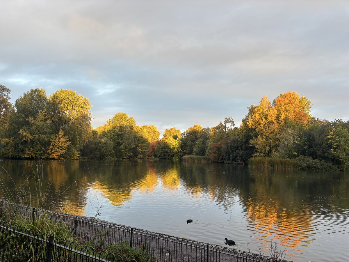 Warriner Watch tweet media