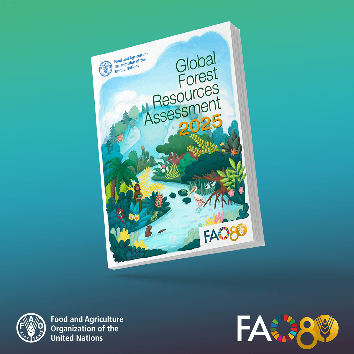 FAO Forestry tweet media