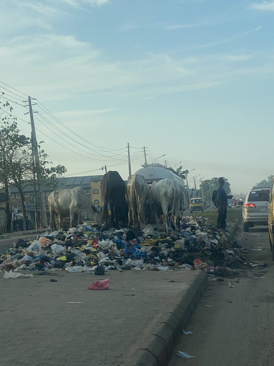PastorMarvy's tweet image. @tokunbo_wahab and @muyiwag 

This is a call to take decisive actions against the increasingly animalistic behavior of some residents along the Lasu-Igando road. Residents will dump refuse on the roads in the middle of the night because they know the government will pack it in…