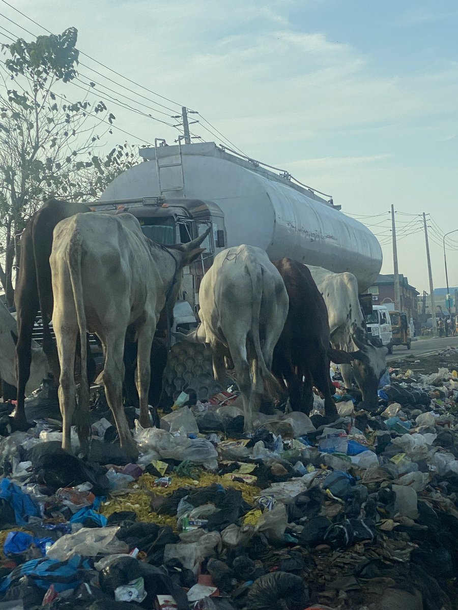 PastorMarvy's tweet image. @tokunbo_wahab and @muyiwag 

This is a call to take decisive actions against the increasingly animalistic behavior of some residents along the Lasu-Igando road. Residents will dump refuse on the roads in the middle of the night because they know the government will pack it in…