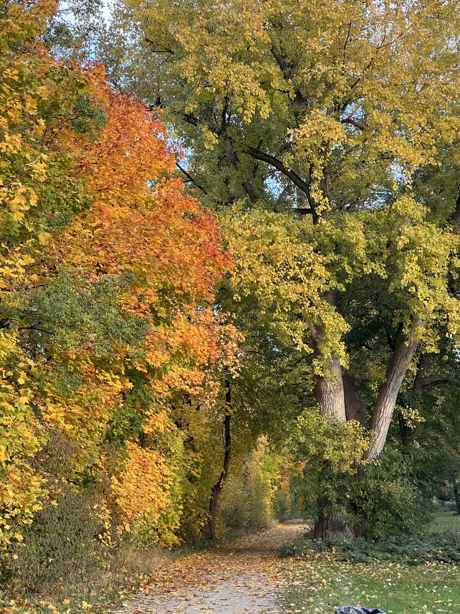 Погуляли ✨