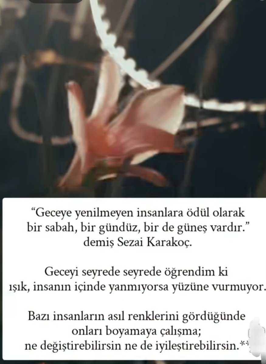 Ramo424242 (@ihsan9811) on Twitter photo 